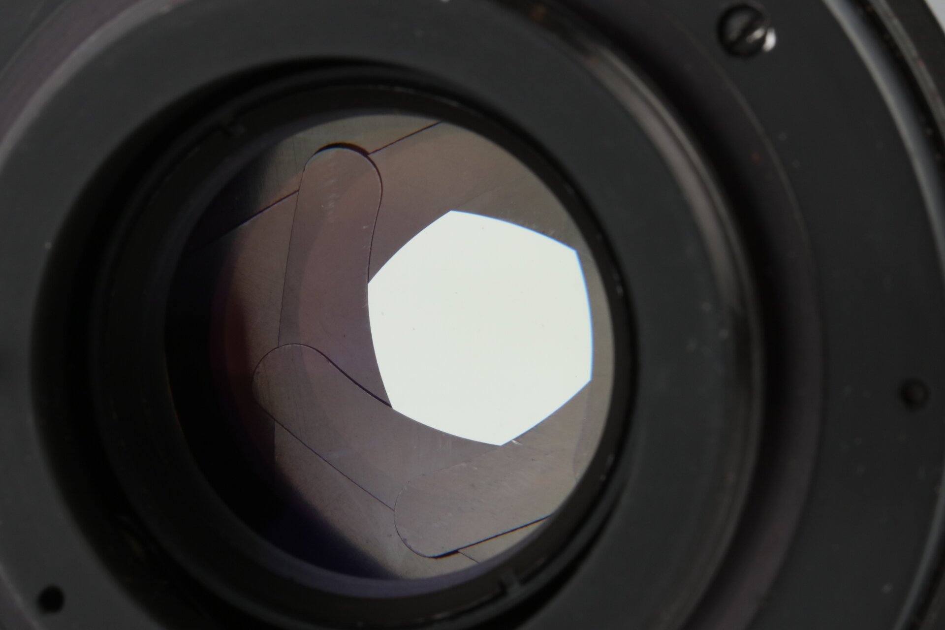 Pentacon 50mm F1.8 Multi Coating M42