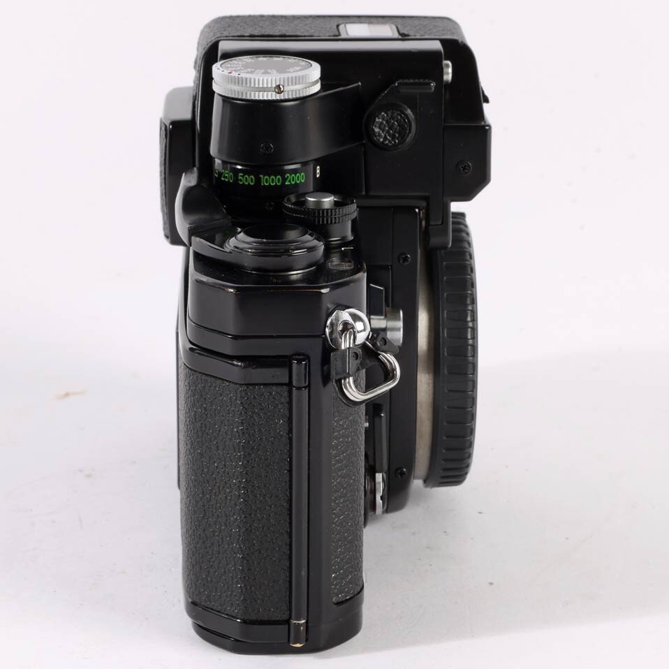 Ninon F2 black