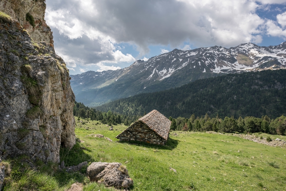 Zeiss Loxia 21mm 1:2,8 für Sony ILCE (E-Mount)