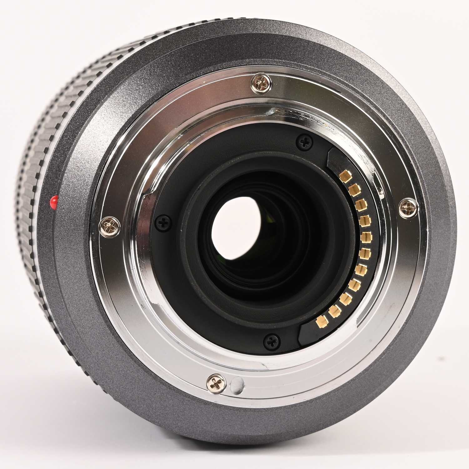 Panasonic Lumix G Vario 45-200 mm F/4.0-5.6 Mega O.I.S.