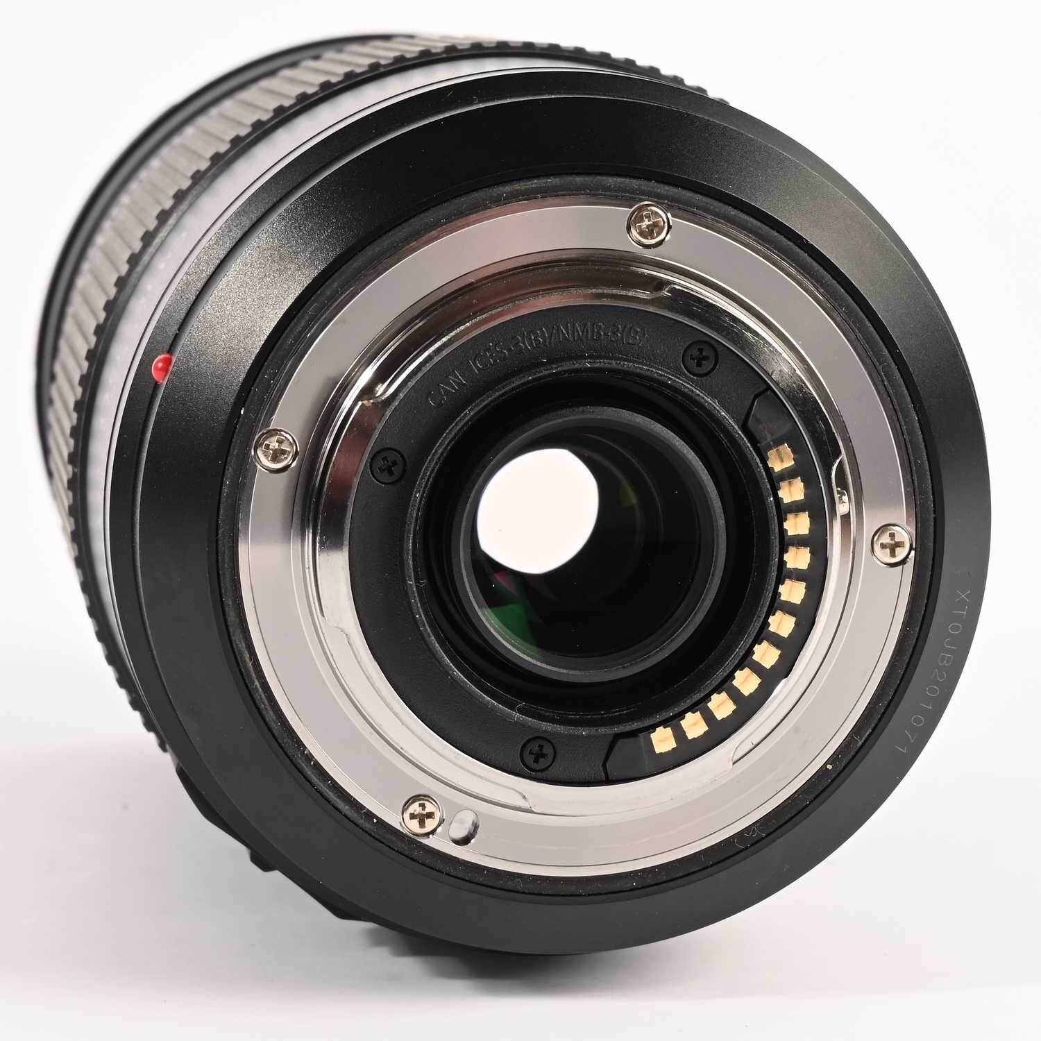 Panasonic Lumix G Vario 100-300 mm F/4.0-5.6 II AF OIS Objektiv