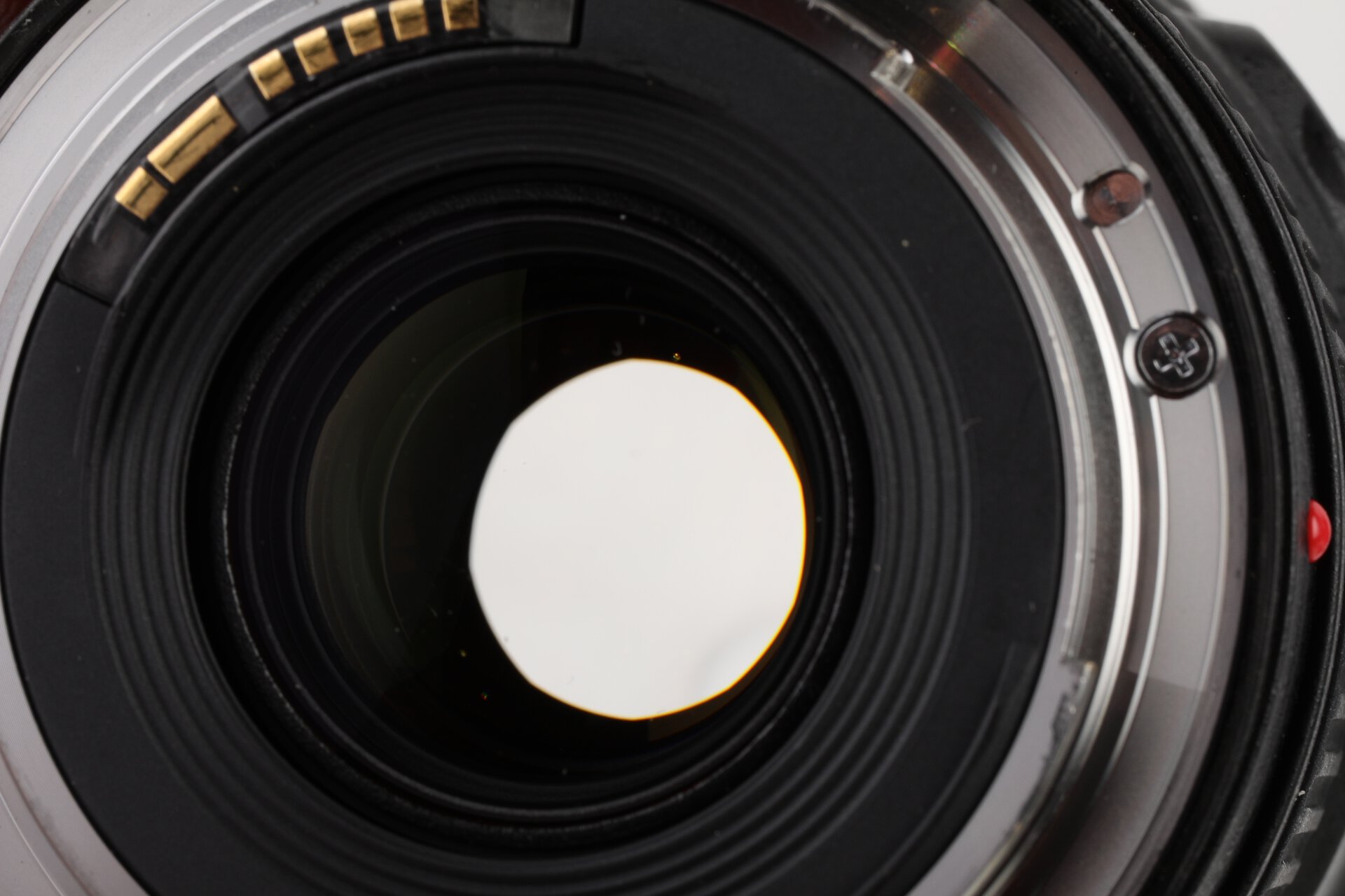 Canon EF 16-35mm 4 L IS USM